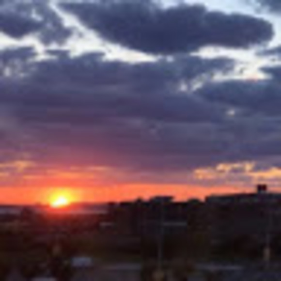 Meet your Posher, Sherry - Picture 1 of 1